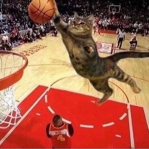 Meet your Posher, Da